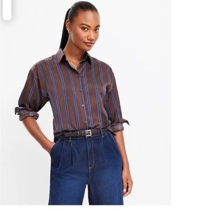 Perfect for fall. Gorgeous brown/navy striped blouse. Brand new with tags.